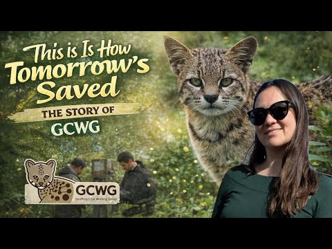 GWCG 2025 Report