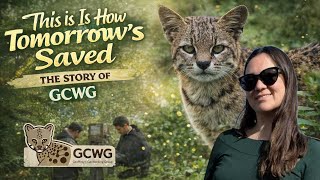 GWCG 2025 Report