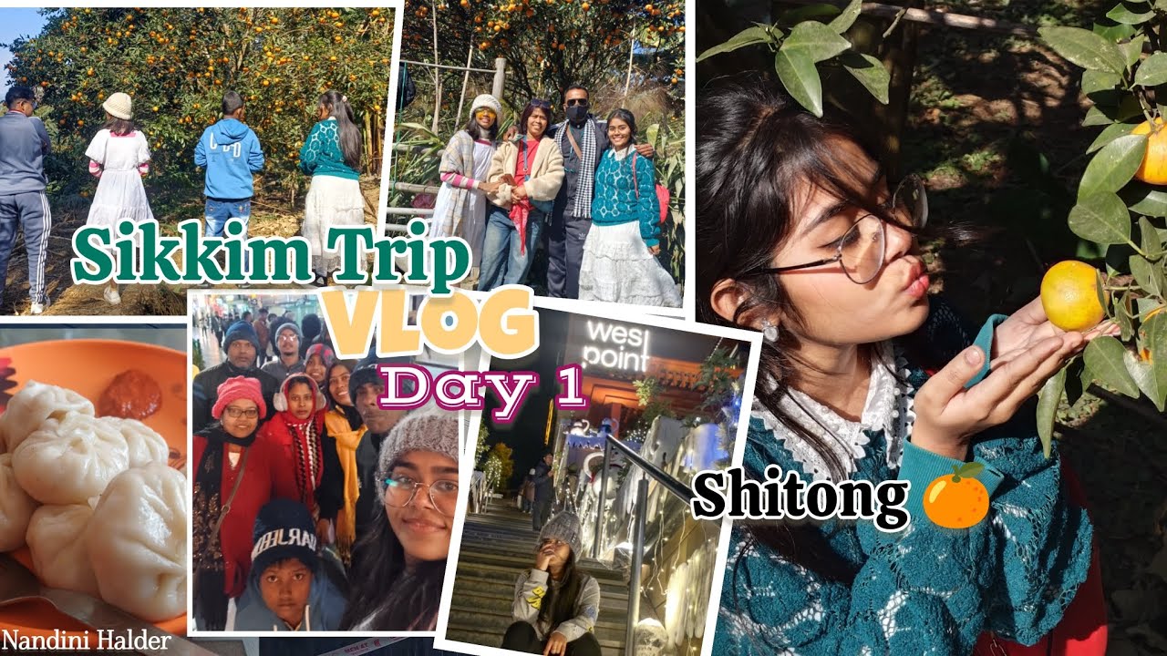 NORTH SIKKIM Trip 2026 ( DAY 1) | SHITONG 🍊 | GANGTOK | NANDINI HALDER.