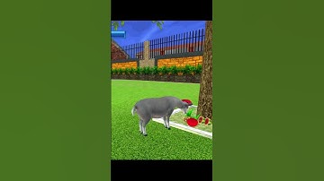 Sheep Family Life Games || Android Gameplay #games #animals#sheep