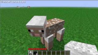 Minecraft Flat map plus Link in description!