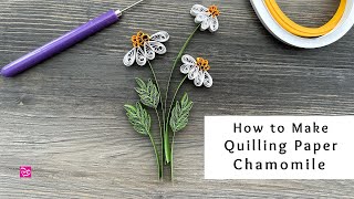 How to Make Quilling Paper Chamomile Flowers and Leaves | Quilling for Beginners