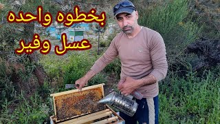 عسل بكميات كبيره بخطوه صغيره(الحاجز الملكي)