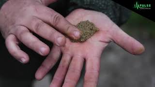 Impulse Paste - Amino Acid Feeding Stimulant