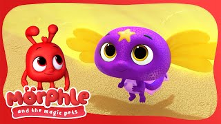 The Red Balloon | Morphle and the Magic Pets | Moonbug Kids - Fun Stories and Colors