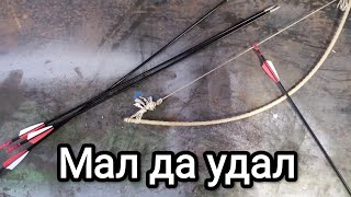 Самый дешёвый лук в мире.