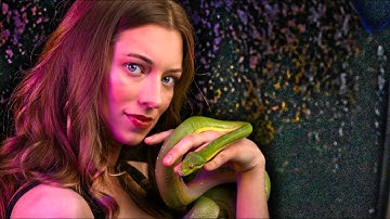 Green Tree Python Handling