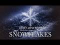 Quiet Mysteries of Snowflakes to Fall Asleep To