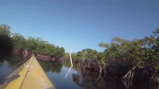 Hell's Bay, Everglades