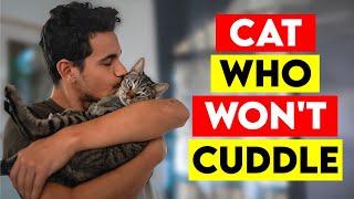 5 SHOCKING Reason Your Cat Won't Cuddle! How to Fix It