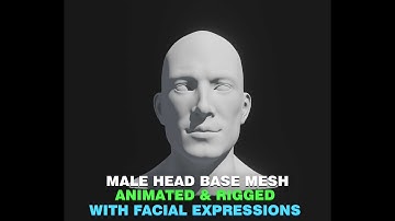 Male Head Realistic Base Mesh 3D Model Animated with Facial Expressions
