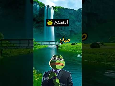 حكمة اليوم صباح الكنادر يحلو يا نادر الضفدع الحكيم اكسبلور
