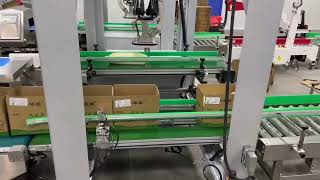 Automatic Case Packer for 5kg, 10kg Sauce Bag  Pouch