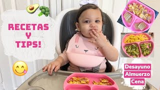 QUE COME MI BEBE EN UN DIA | LAS COMIDAS DE MI BEBE DE 11 MESES | RECETAS Y COMIDAS PARA BEBES