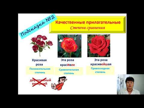 "Новогодние подарки". Качественный разряд. 7 класс для школы с казахским языком обучения