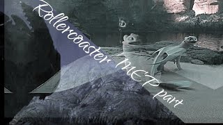 Rollercoaster// Part For Night