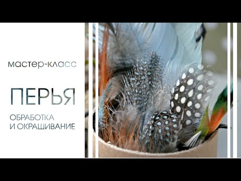 ОБРАБОТКА И ОКРАСКА ПЕРЬЕВ. Подробный мастер-класс