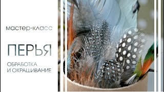 картинка: ОБРАБОТКА И ОКРАСКА ПЕРЬЕВ. Подробный мастер-класс