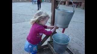 Practising Milking The Cows At Home Farm, Wimpole Estate