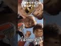 天使がモチーフは新しかった ガッチャゴセイジャー gotchagoseiger