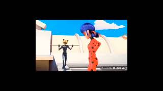 Kara Kedi Beyaz Kedi Edit