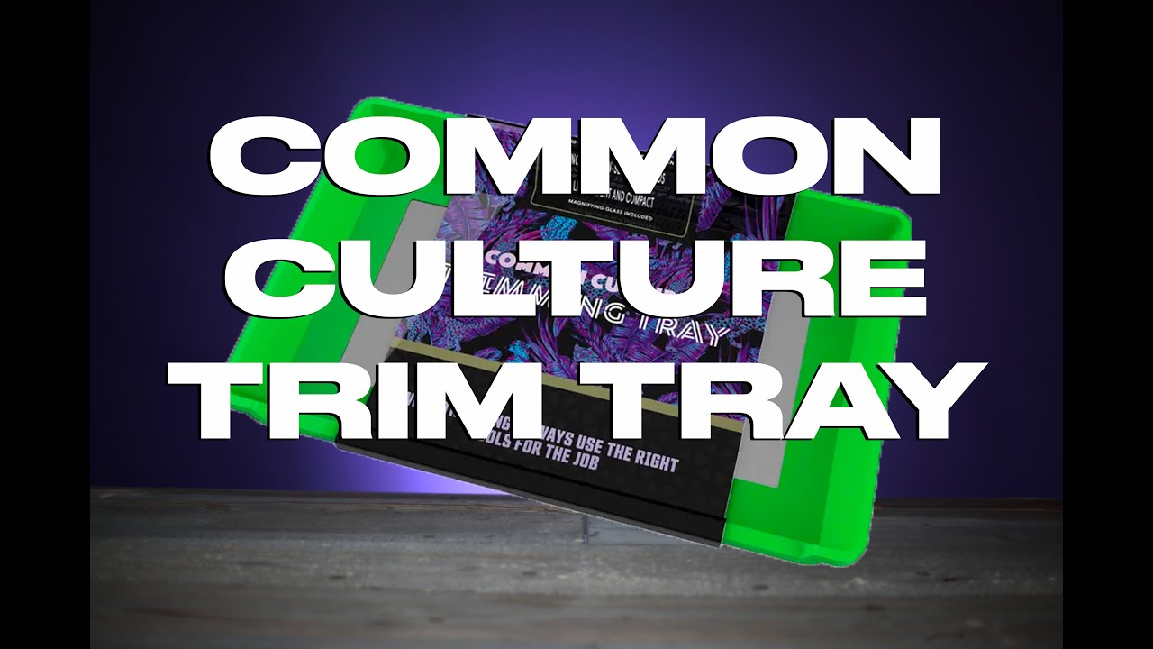 Common Culture Harvest Trim Tray with Micron Screen