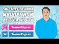 02. Биоэнергетика мышечной деятельности