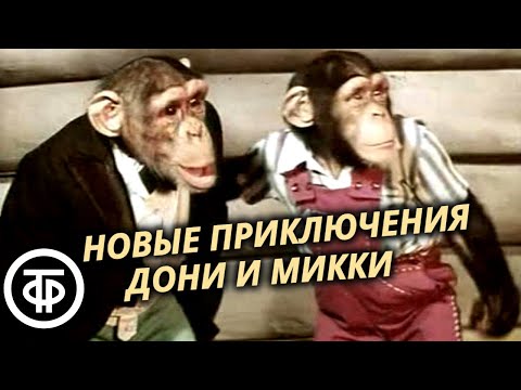 Новые приключения Дони и Микки. Художественный фильм (1973)