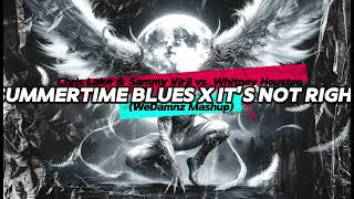 Chris Lake & Sammy Virji vs. Whitney Houston - Summertime Blues x It's Not Right (WeDamnz Mashup)