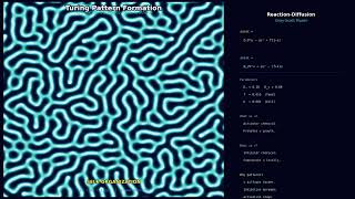How Nature Creates Leopard Spots: Turing Reaction-Diffusion Simulation