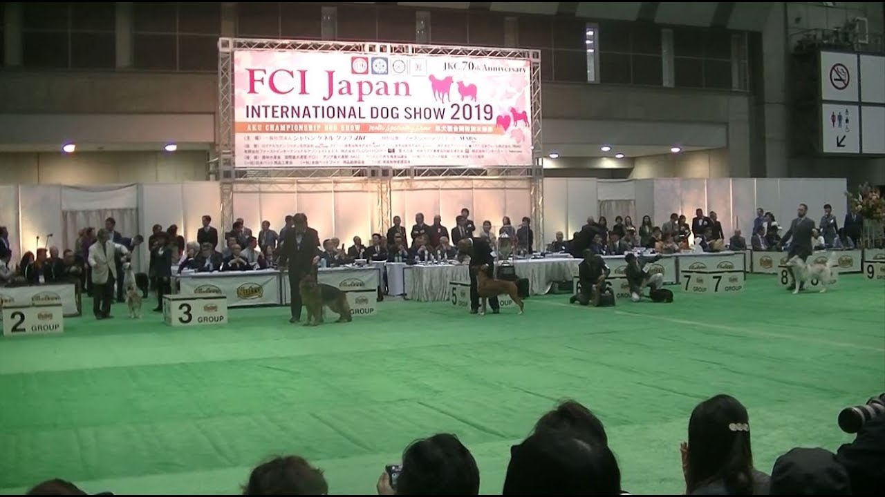 BIS Japan International dog show 2019