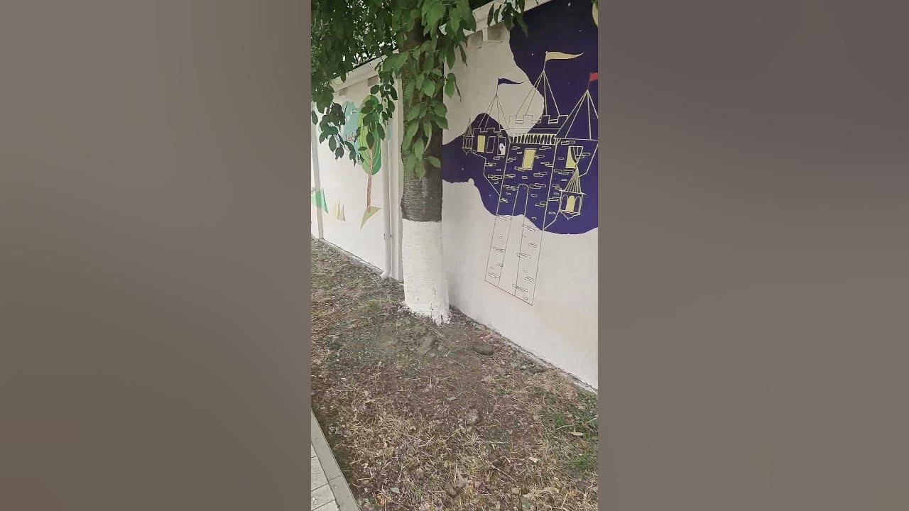 Расписание стены( мурала) в гимназии Бельц - YouTube