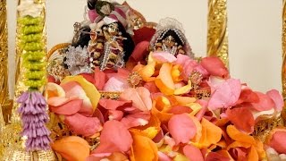 Jhulan Yatra - Iskcon Boston - 8142016