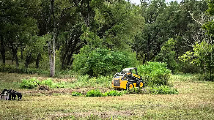 Clearing brush on farm