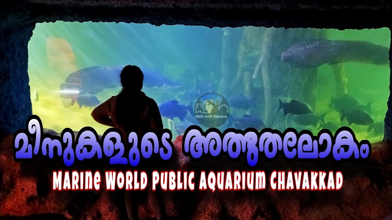 ഇന്ത്യയിലെ ഏറ്റവും വലിയ പബ്ലിക് അക്വേറിയം Marine World Public 