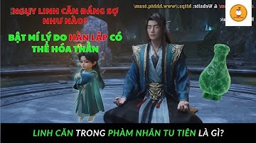 Linh Căn Trong Phàm Nhân Tu Tiên Là Gì? Tại Sao Hàn Lập Khó Đột Phá Nguyên Anh Đến Vậy?