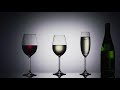 《TESCOMA》晶透紅酒杯(450ml) | 調酒杯 雞尾酒杯 白酒杯 product youtube thumbnail