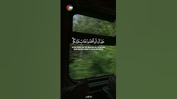 ✨️حلمك قريب فلا تستسلم 🇵🇸🍉#قرآن #اكسبلور #تلاوة_خاشعة #islamic #المصحف #فلسطين #غزة #palestine #fypシ