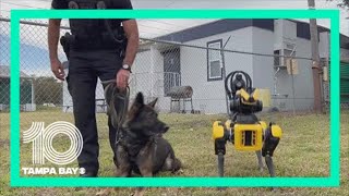 St. Petersburg Police Department shows off Spot, a robotic police dog