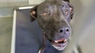 acs A676296