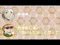 【文スト文字起こし】肉弾戦に弱い梶井基次郎に上村くん、羽多野さん「打たれ弱いwww」
