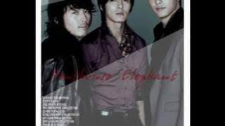 Penthouse Elephant.wmv