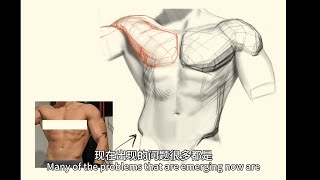 human art drawing｜Mastering Torso Volume: Block-Based Anatomy Breakdown