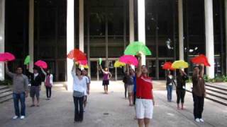 SLI Summer 2009