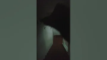 Piano Mp3 