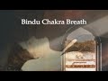 Bindu chakra breath  pranayama breathing practice for bindu chakra activation