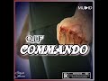 QLF Commando mp3