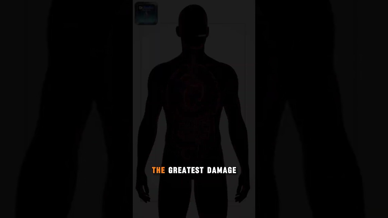 Inside the Human Body-Science in Motion 