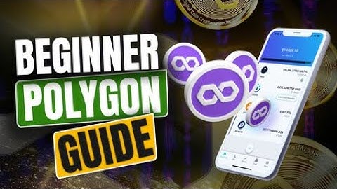 Polygon is going CRAZY! Beginner Polygon Guide for 2023