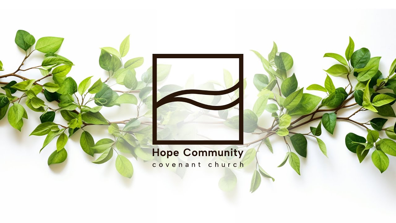 Peace in the Midst of Chaos: From Small Faith to Abundant Provision